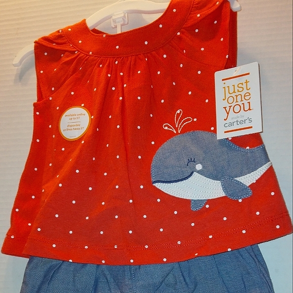 NWT Beautiful Newborn Girl Carter's 2pc Summer Shorts Set - Picture 7 of 8